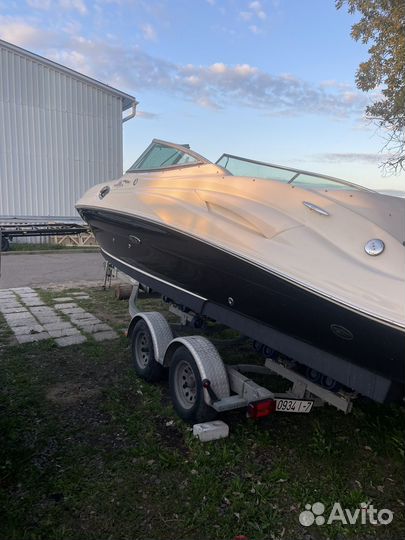 Катер Sea Ray 270 sundeck