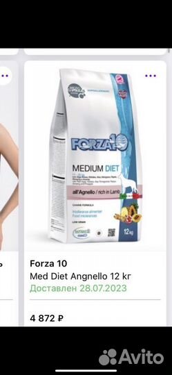 Корм для собак Forza 10 medium diet с ягненком