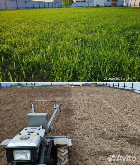 Газон под ключ