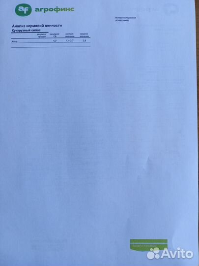 Корма для крс. Силос кукурузный