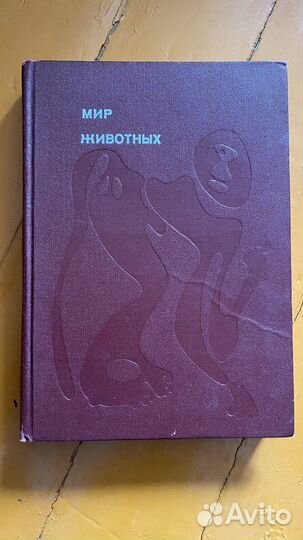 Книга 