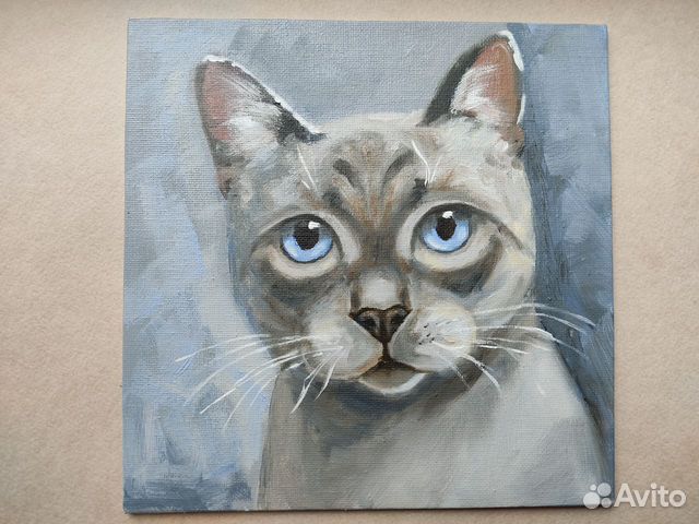 Картина с котиком "Сиамский кот" масло 20 на 20