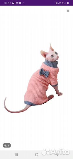 Одежда для сфинксов кошки