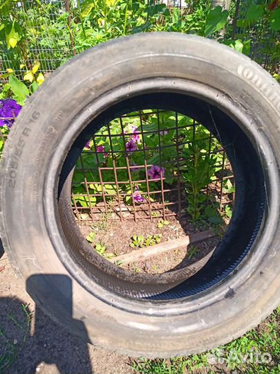 Dunlop Graspic DS3 205/55 R16