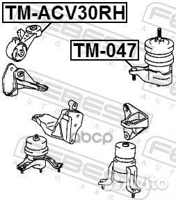 TM-ACV30RH подушка двигателя правая Toyota Cam