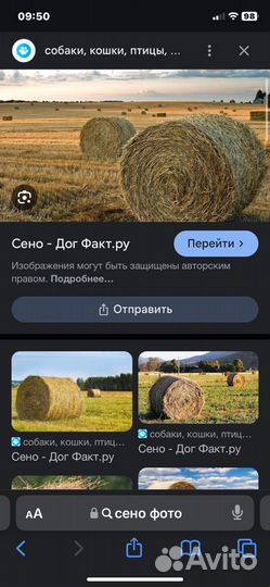 Сено в рулонах