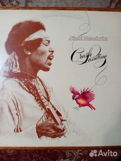ZZ TOP, Alcatraz, Kinks, Hendrix, Charlie