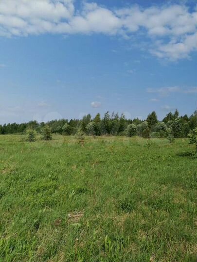 Участок 100 га (СНТ, ДНП)