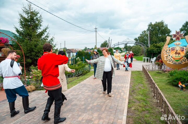 Поющий Баянист-Гармонист-Балалаечник в Москве
