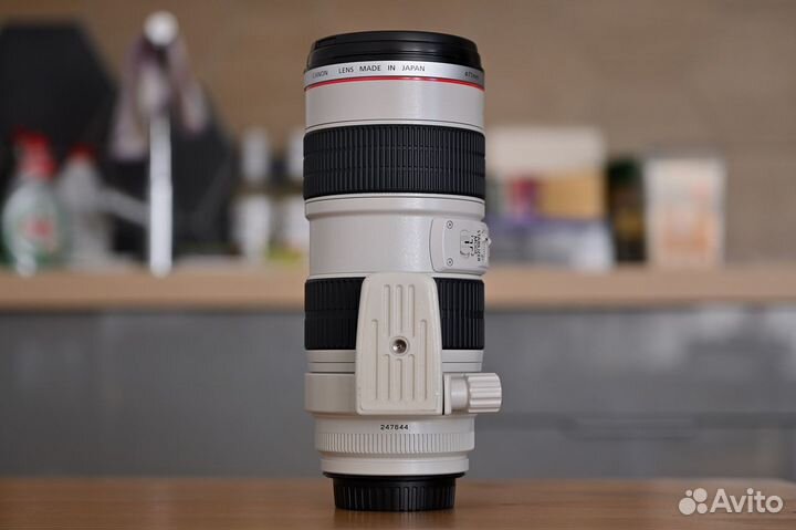 Canon EF 70-200mm f/2.8L IS USM