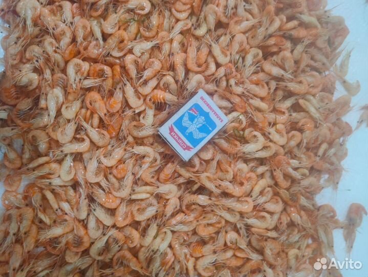 Креветка Черноморская вареная