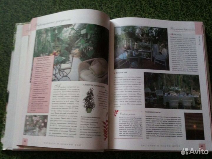 Книга Комнатные растения Большая иллюстрированная