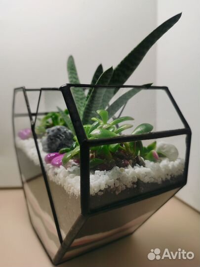 Флорариум/цветы и decor/стильный,красивый подарок