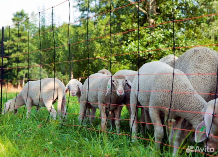 Электропастух европейская сборка