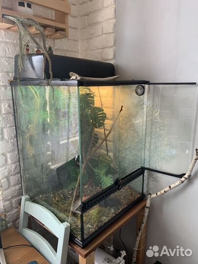 Террариум для рептилий бу