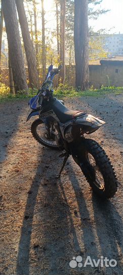 Sharmax 250 (Avantis fx lux 250)