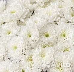 Букеты на 1 сентября