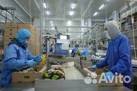 Упаковщик Грузчик