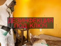 Дезинфекция уборка после умершего под ключ