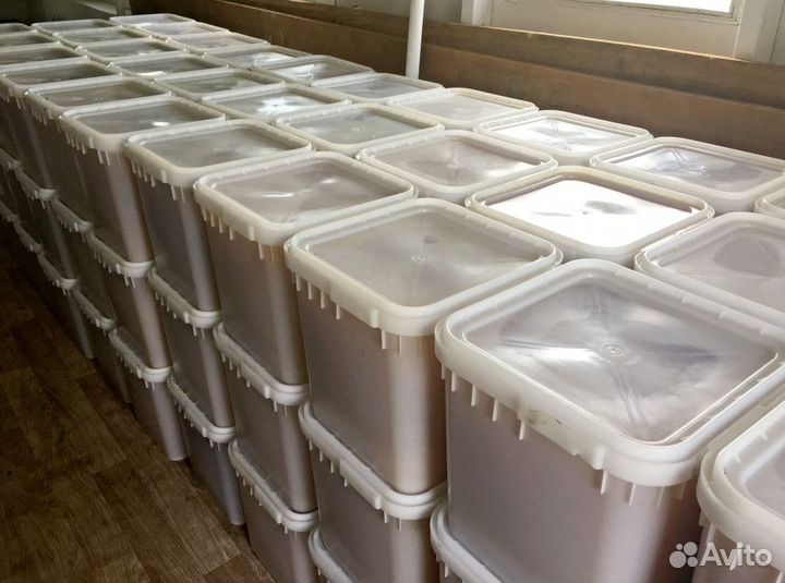 Куботейнеры под мёд