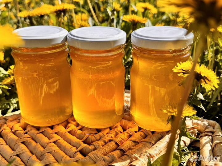 Одуванчиковый мед