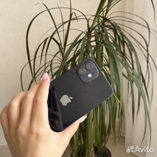 iPhone 12, 128 ГБ