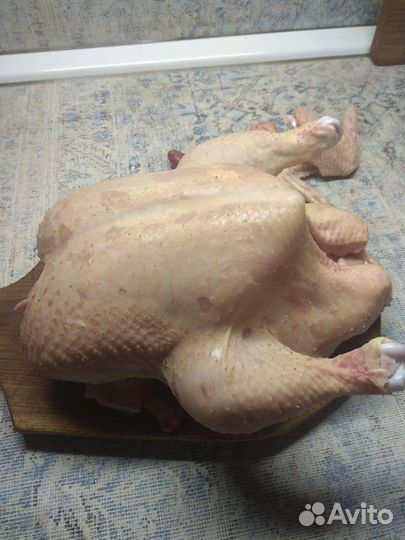 Мясо домашних кур бройлеров