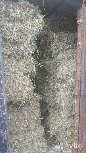 Сено в брикетах