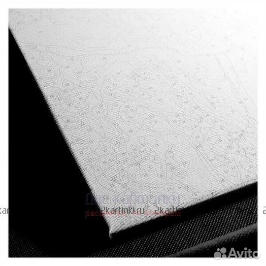 Картина по номерам 40x50 Светлая кошечка с голубым