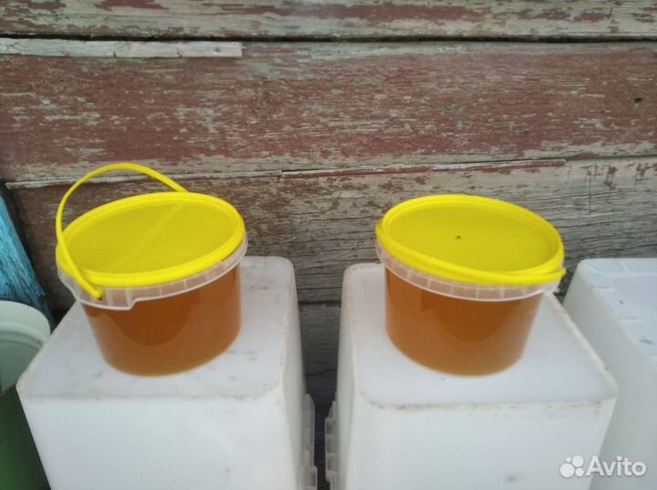 Мед новый урожай и продукты пчеловодства