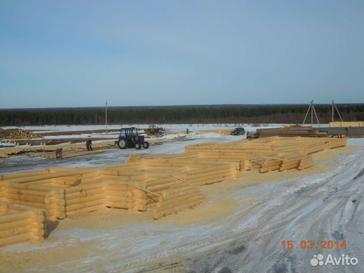 Строительство домов из бревна