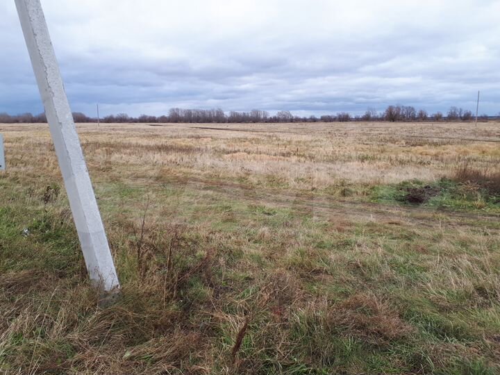 Участок 15 сот. (ИЖС)