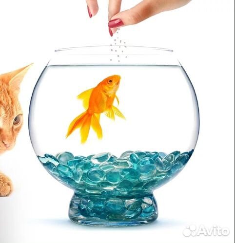 Стеклянный грунт зелёного цвета и разноцветный