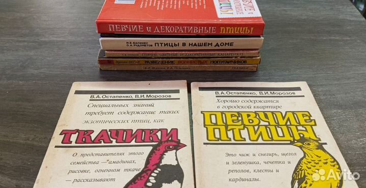 Певчие птицы