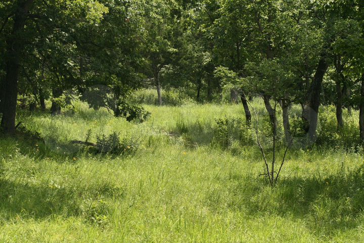 Участок 9 сот. (ИЖС)