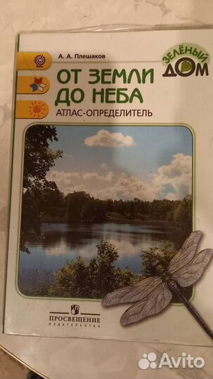 Книги для школьников