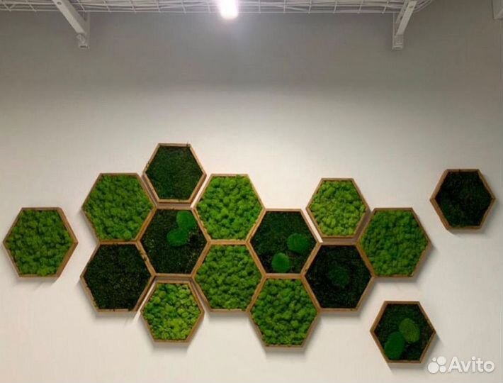 Мох стабилизированный. Картина