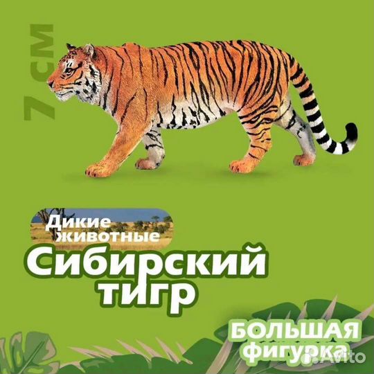 Тигр