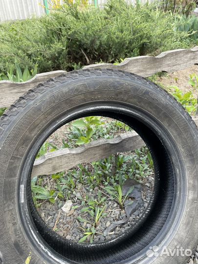 Maxxis SP3 Premitra Ice 185/60 R15