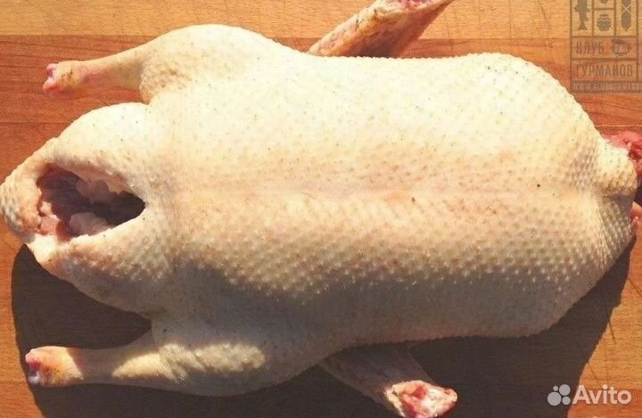 Мясо гуся