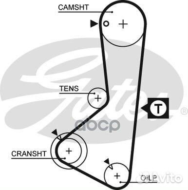 Ремень грм gates /859715075/ 5075XS Gates