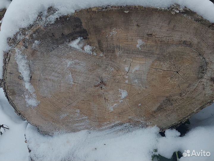 Дрова пеньками