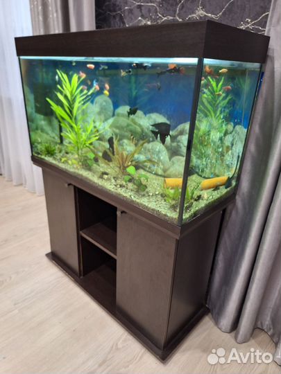 Оборудование для аквариума