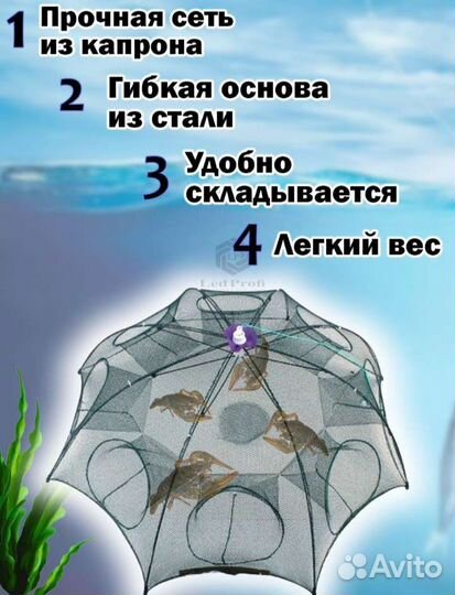 Раколовки