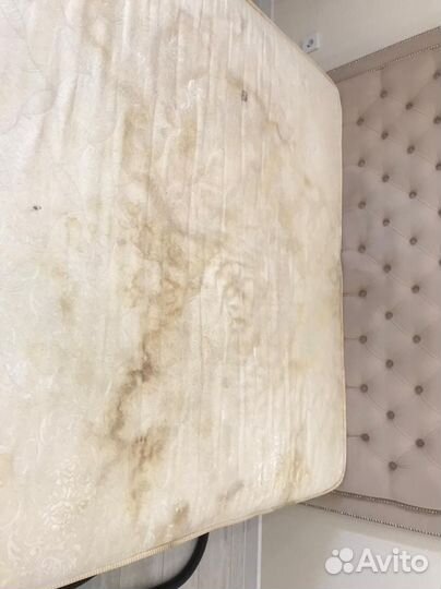 Аренда оборудования для химчистки. Керхер