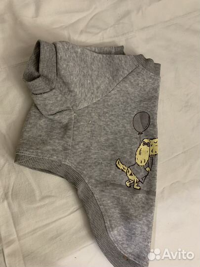 Одежда для маленьких собачек