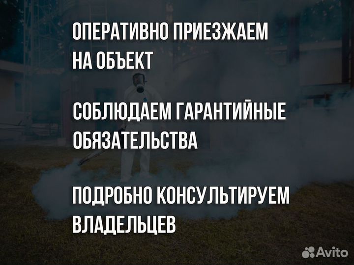 Дезинфекция, уничтожение вредителей\плесени