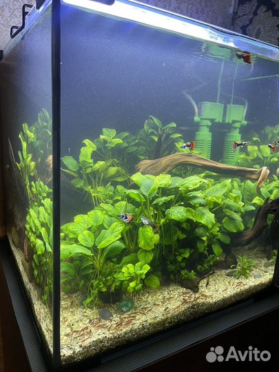 Аквариум с тумбой