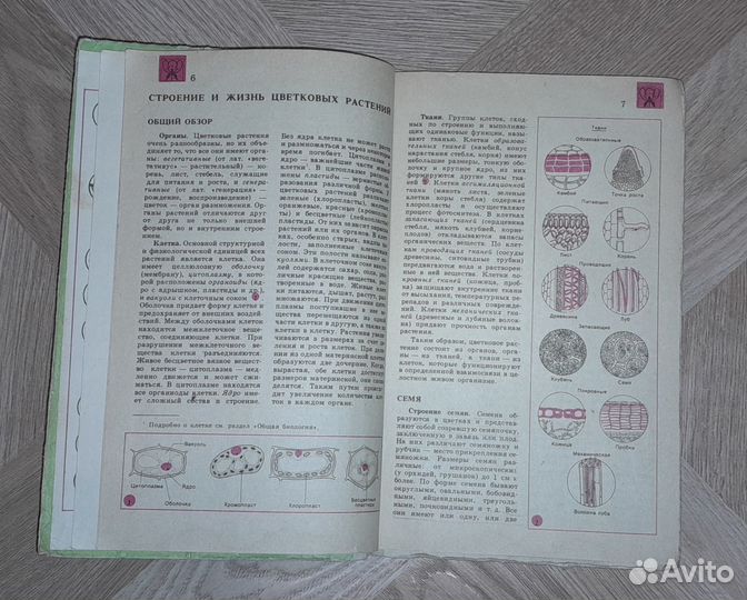 1983 г. Биология. Справочные матepиалы