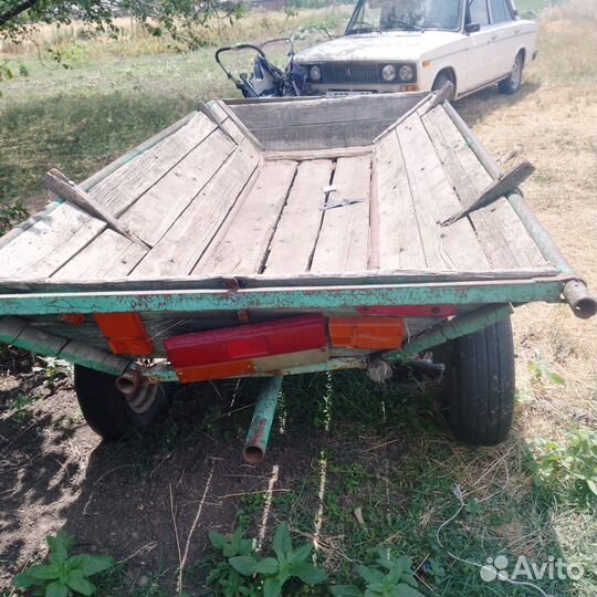 Лошадь жеребец